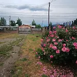 Benisur