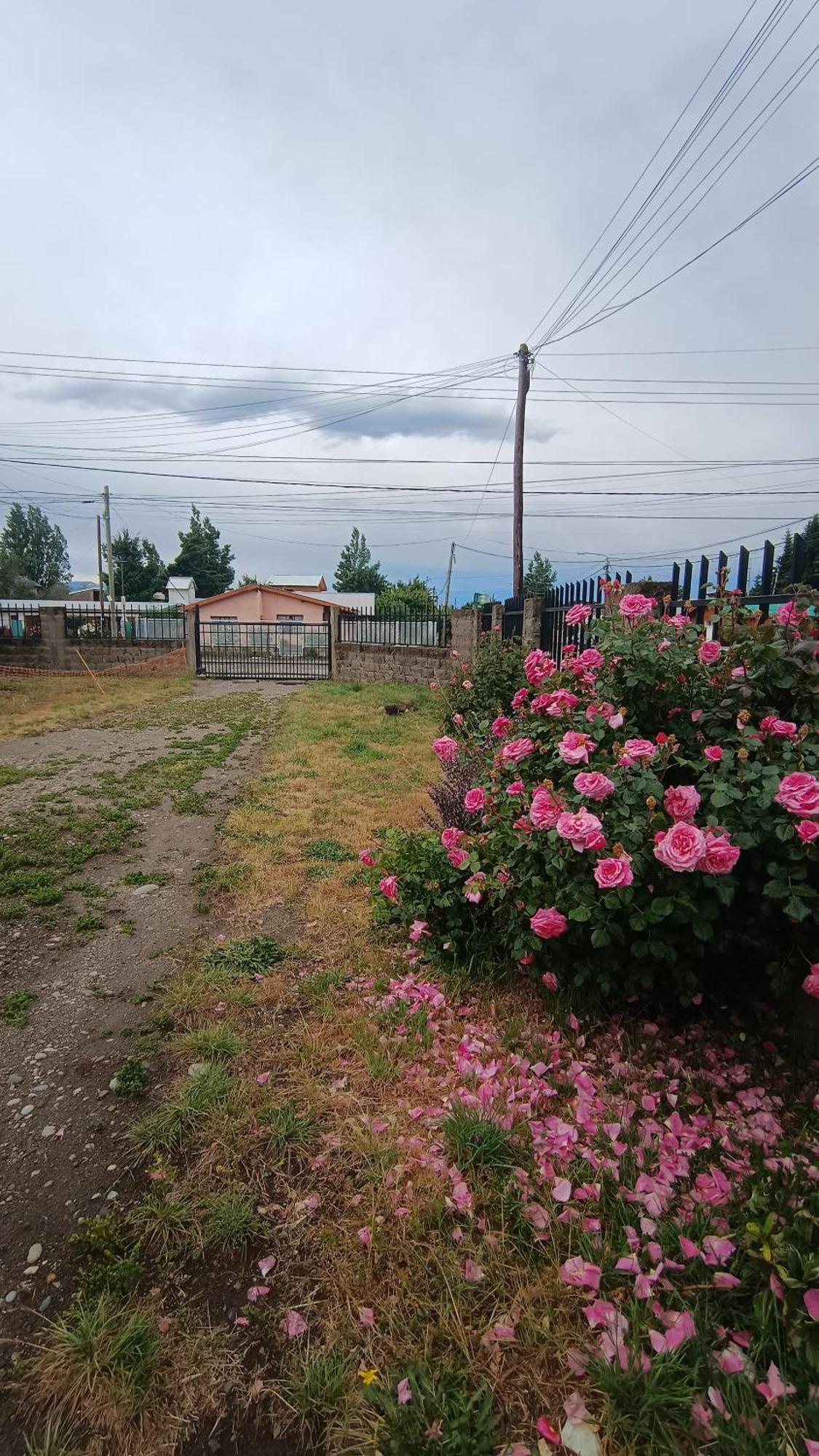 Benisur Apartamento *